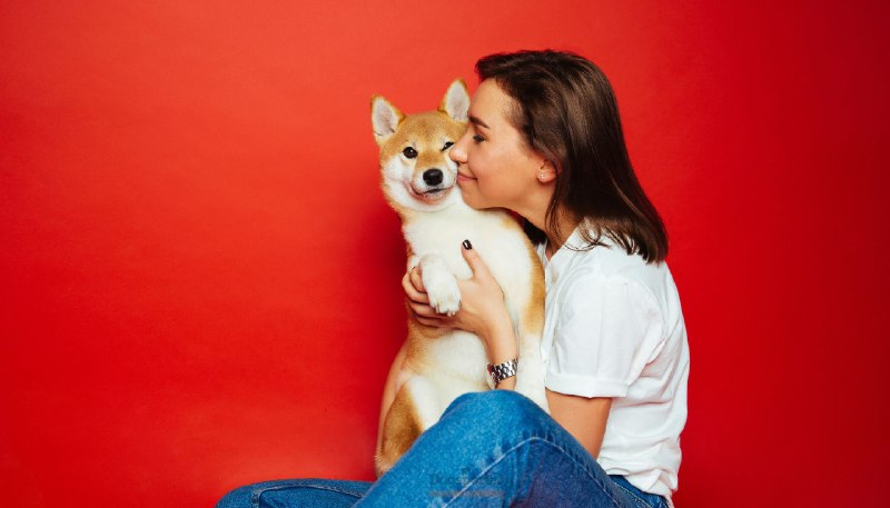 Perché un cane potrebbe non gradire …