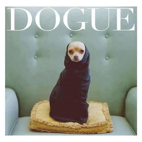 DOGUE is an endearing crypto token …