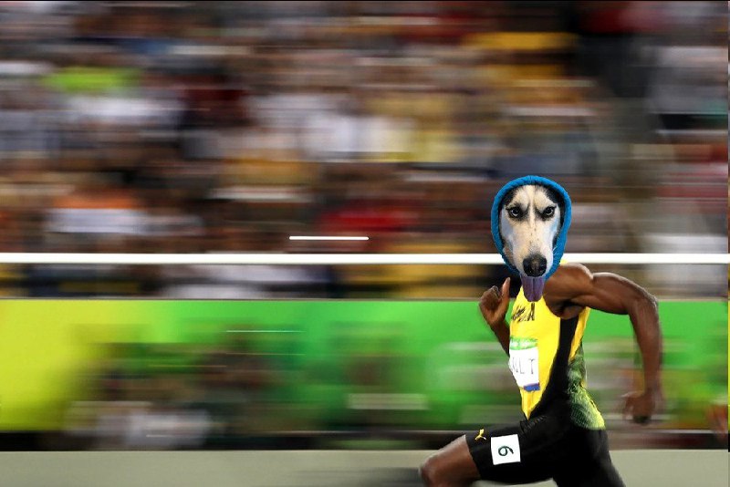 see you at the finish line