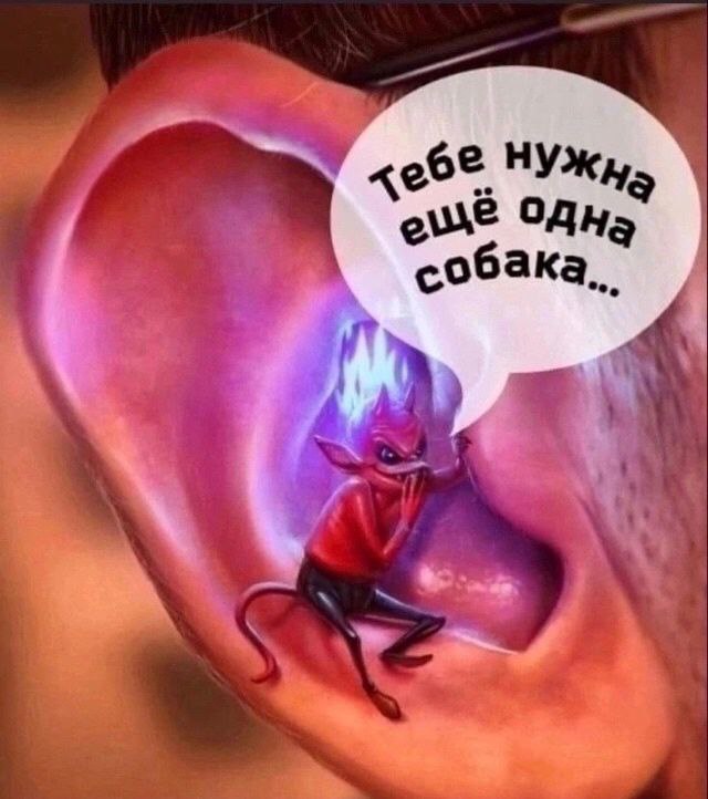 Я уже больше не могу ...