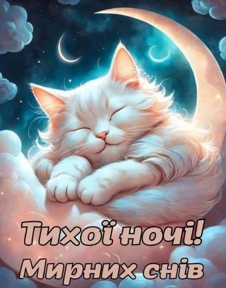 ***🌙***Доброї та тихої ночі ***🌙******🙏***