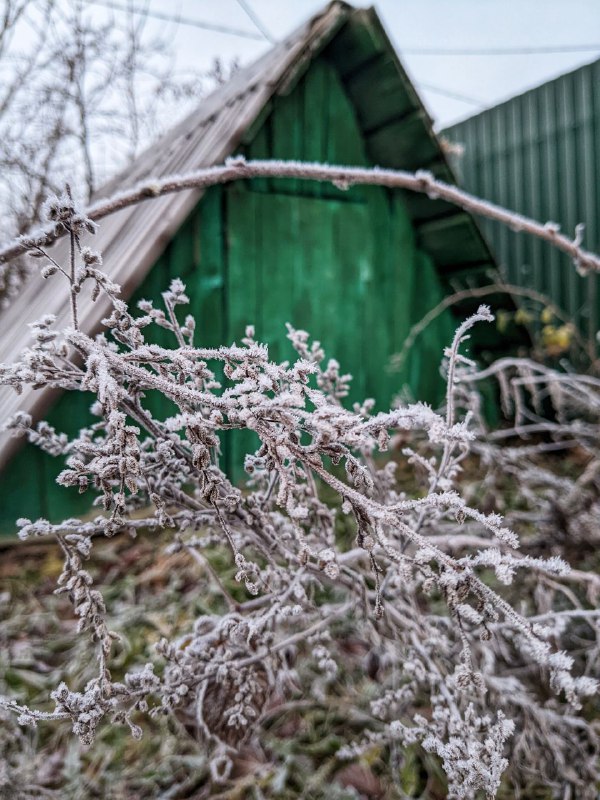 Дом с Розмарином🌿