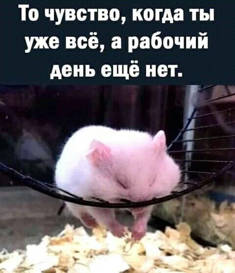 А еще даже не обед ***😔***