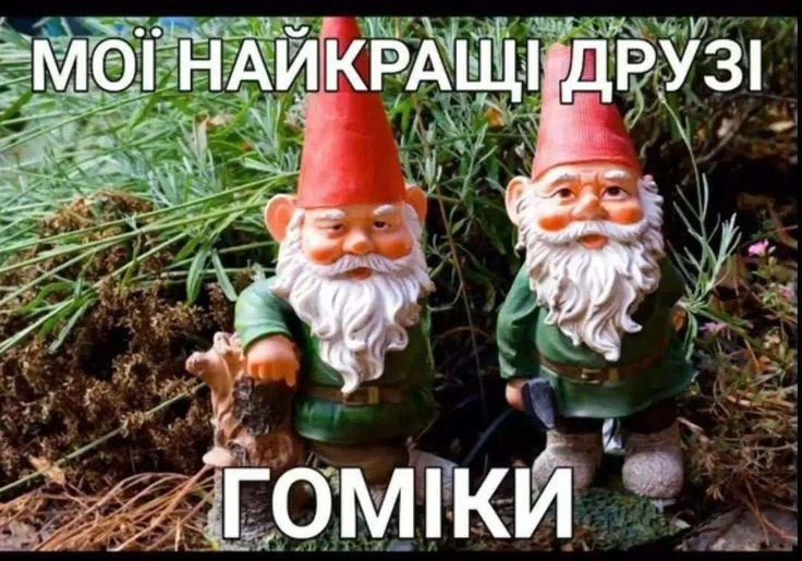 [Гномоборея ***🍄***](https://t.me/domdlagnoma)