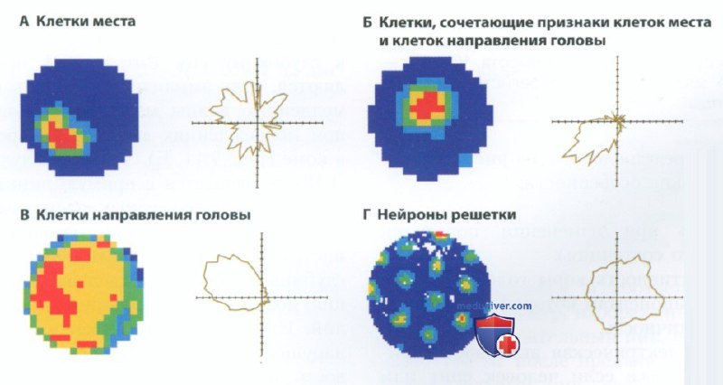 Измерение электрической активности мозга