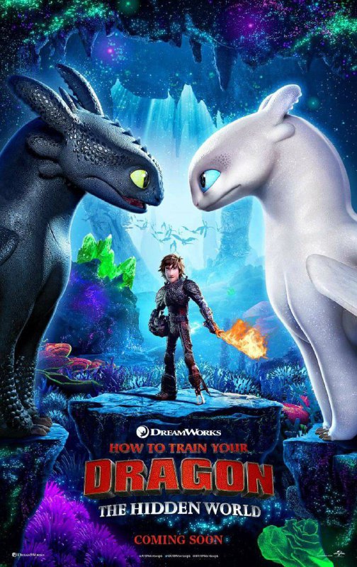 ***🎞*** **How to Train Your Dragon …