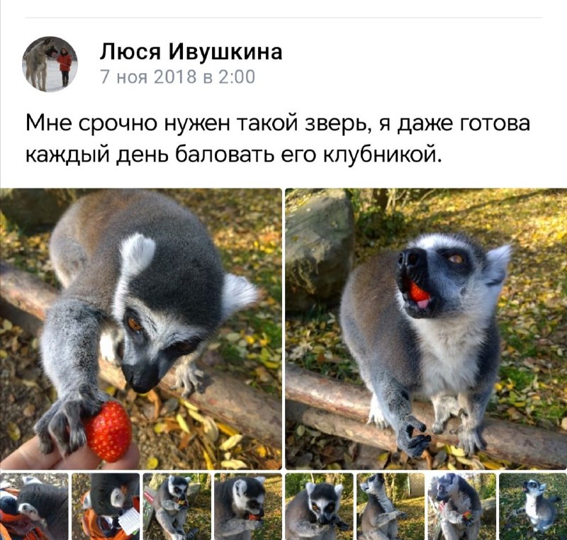 Вот что значит правильно мечтать.