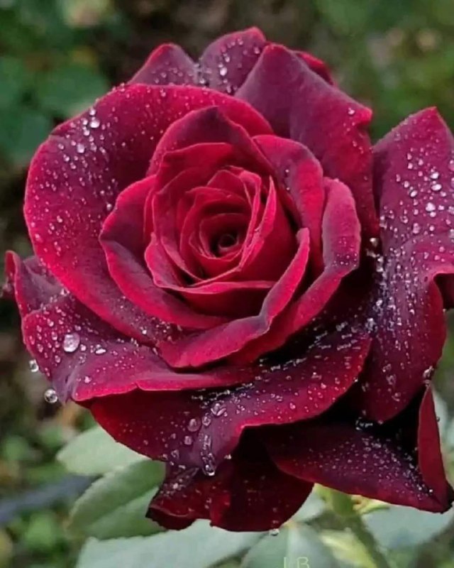 ***✅*** اگه احساس بدی داشتی، این …