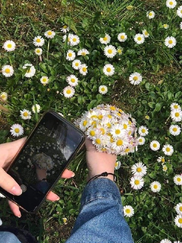 دنیای مجازی