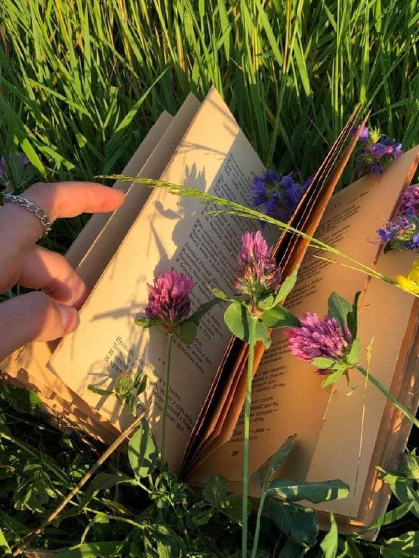 دنیای مجازی