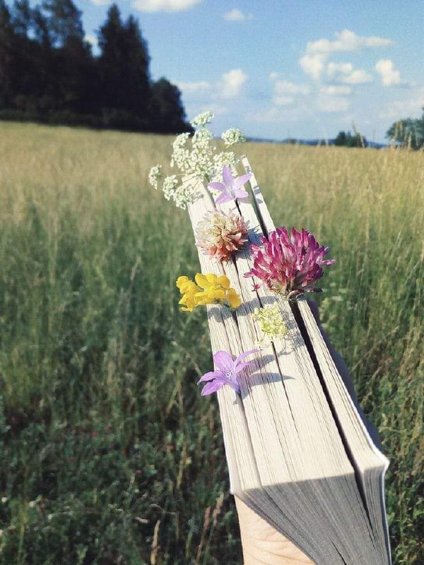 دنیای مجازی