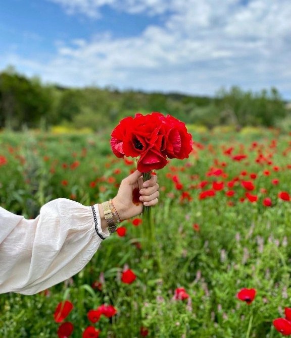 "زندگی" یعنی