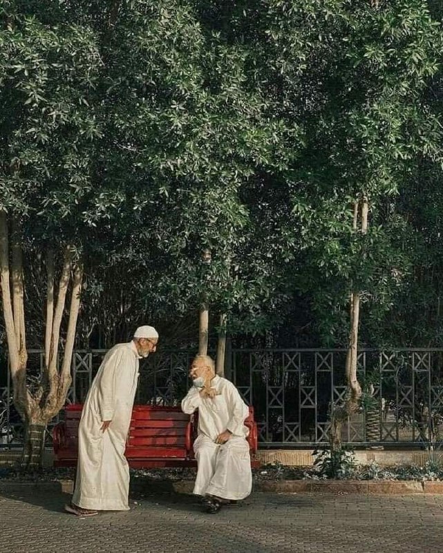 ليس للقلب أنفع من معاملة النّاس …