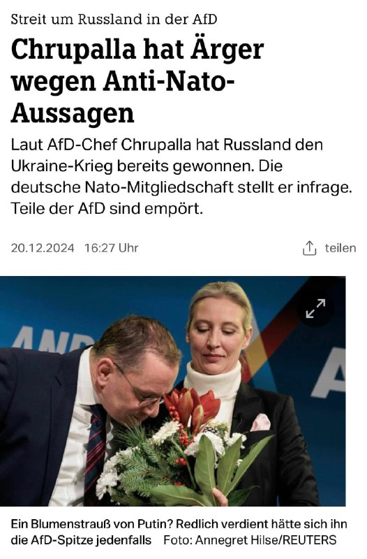 Der kritische Blick auf die AfD: