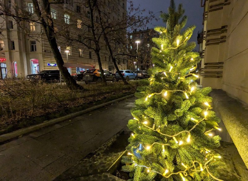 Такие маленькие ëлочки поставили на Раевского. …