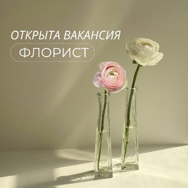 *Мы в поисках флориста в Ростове-на-Дону!***🌸****