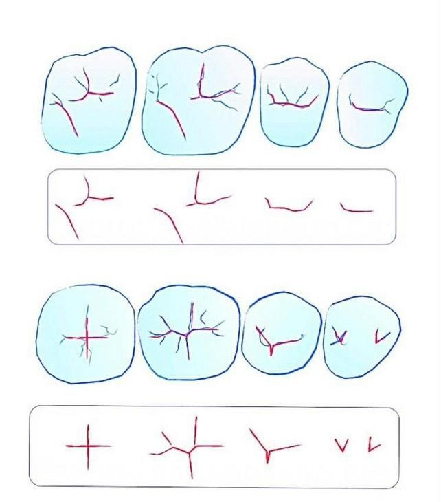 Dr. Ilyas Berraou 🦷