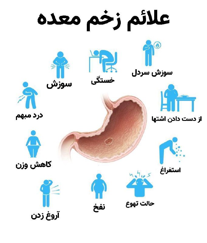 ***✔️*****محفاظت از زخم معده توسط شنبلیله**