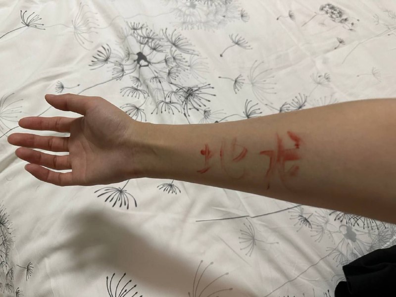 地龙人的修车之旅