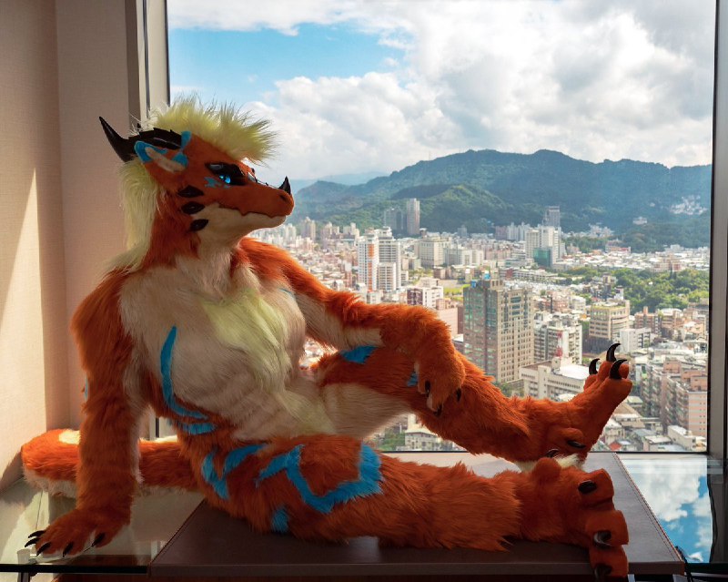 Dragon Suits 龍裝