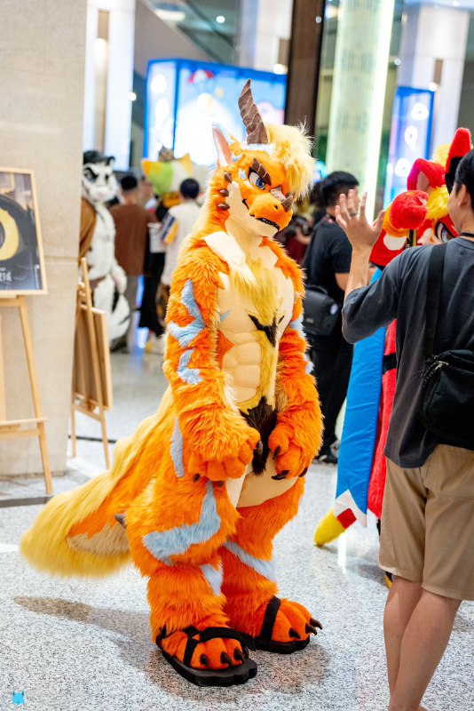 Dragon Suits 龍裝