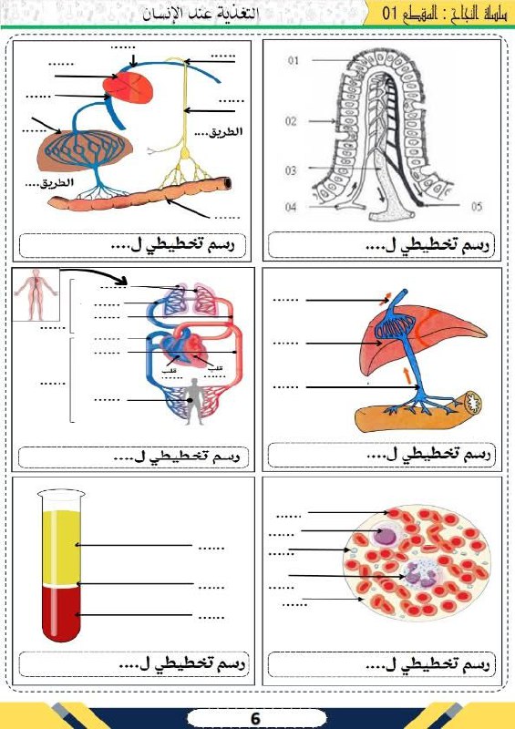 العلوم الطبيعية مع Dr.CHABANE