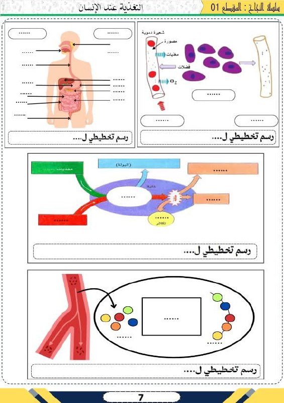 العلوم الطبيعية مع Dr.CHABANE