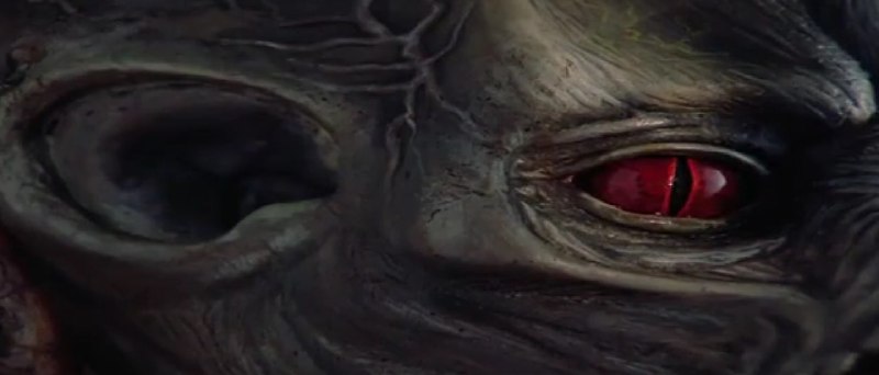 𝕯𝖗𝖊𝖆𝖒𝖋𝖑𝖊𝖘𝖍