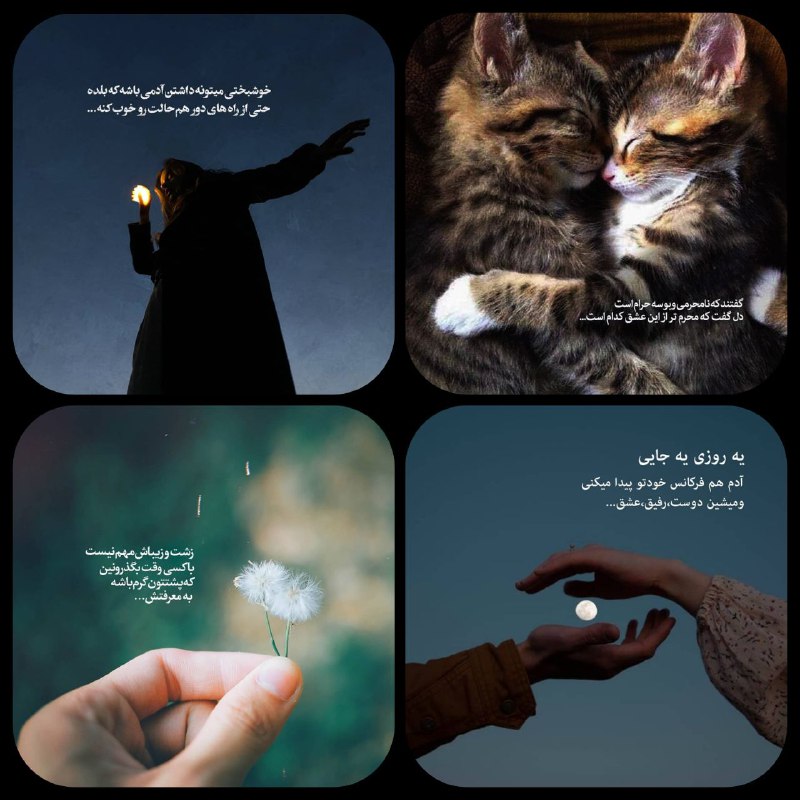 به جرئت میتونم بگم با عکس …
