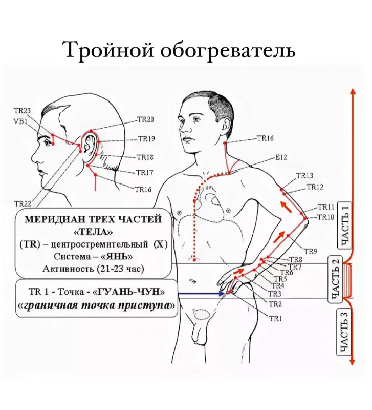 Доктор Гуков