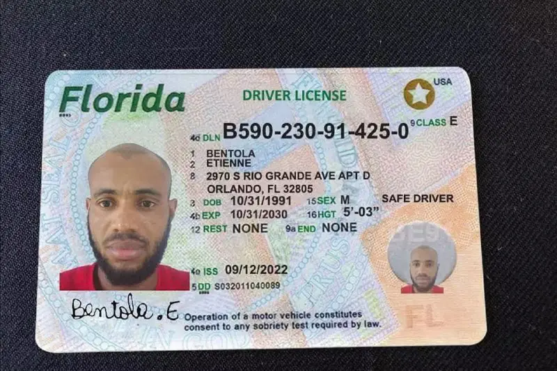 Fake Driver's license USA 🇺🇸