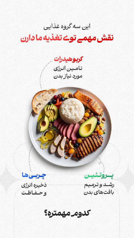 این سه گروه غذایی نقش مهمی …