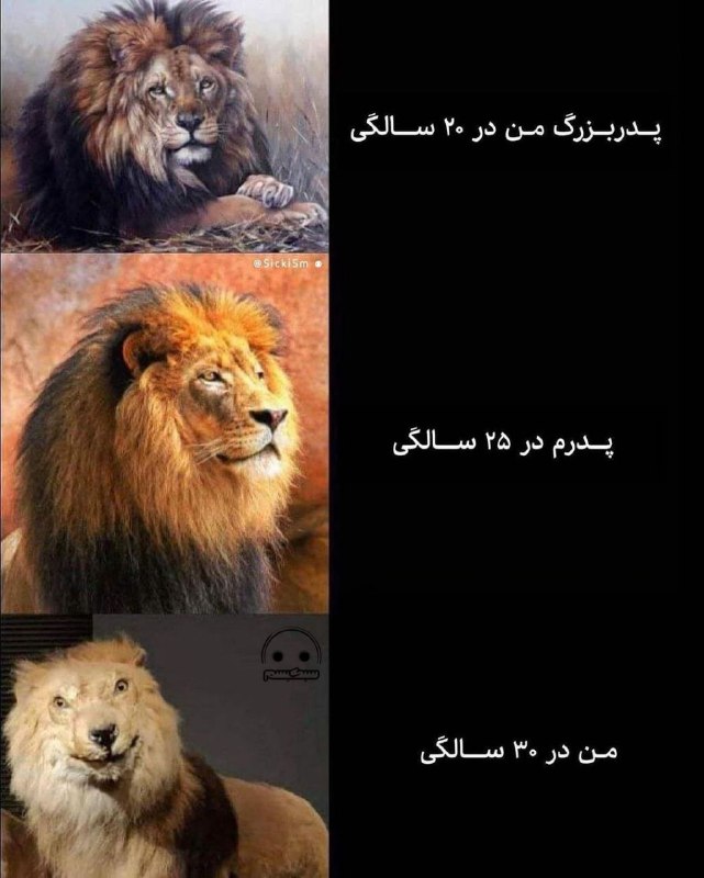 مردی از مردونگی نشات میگرد. هرچه …