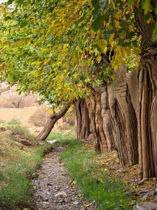 دکتر مریم میرزائی|مامان پزشک