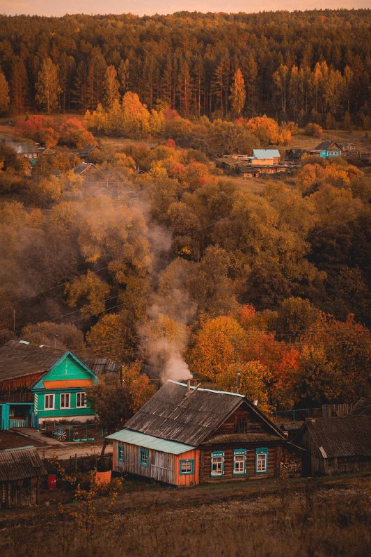 Дрова, трава и дети🌿