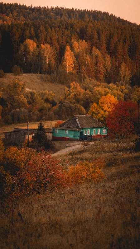 Дрова, трава и дети🌿