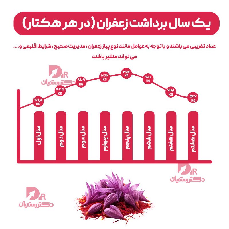 ***✅*****نمودار مهم برای سرمایه گذاران زعفران**