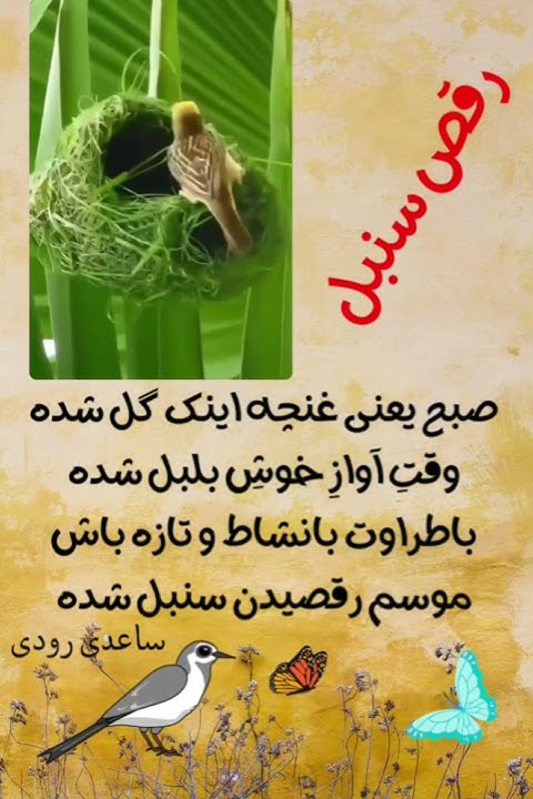 ***🌹***رقص سنبل***🌹***