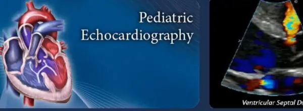 **Pediatric Echocardiography Review from pegasus**