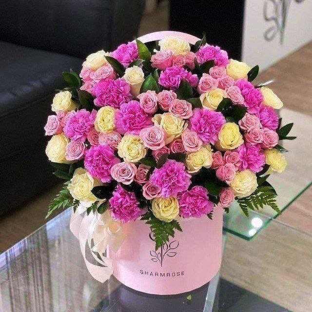 ***🌻*** مژده ای دل که شب …