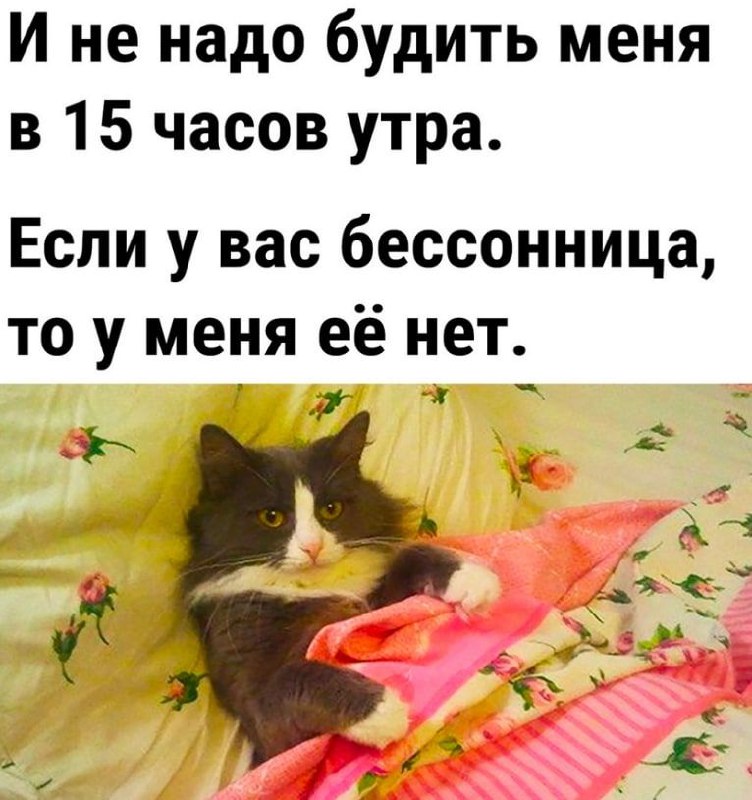 [Дядя Стёба](https://t.me/+1QivwPcxQ7s1OGMy)