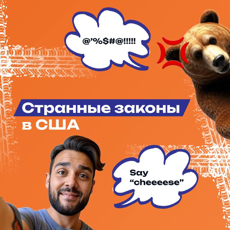 *****🌲******🐻*** Странные законы США: не буди …