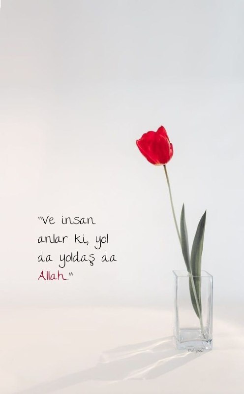⚘️Güzel sözler güzel resimler⚘️