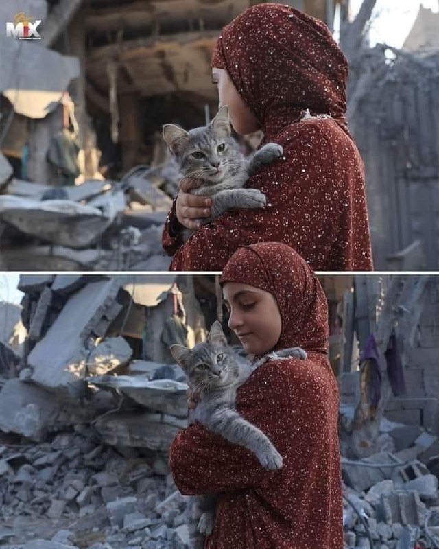 Hiçbir zaman kötü insanlar yüzünden iyi …