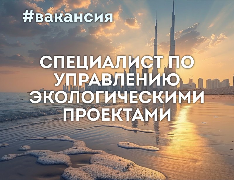 [#вакансия](https://telegra.ph/file/4d2425da126f575b0a681.jpg)