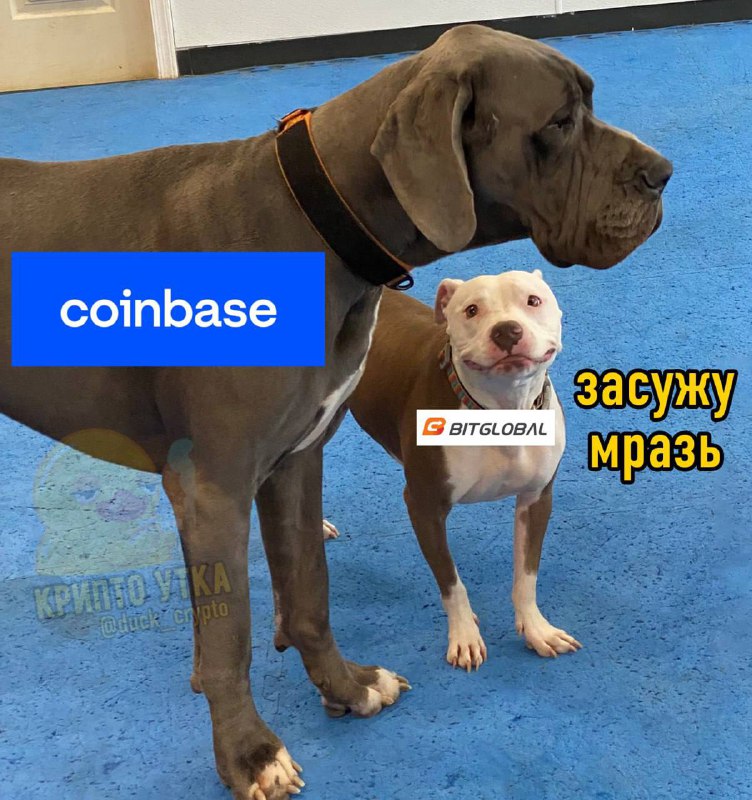 ***💎******🧑‍⚖️*****На Coinbase** [подали иск](https://x.com/tier10k/status/1867618503479406963?s=46) **в связи …