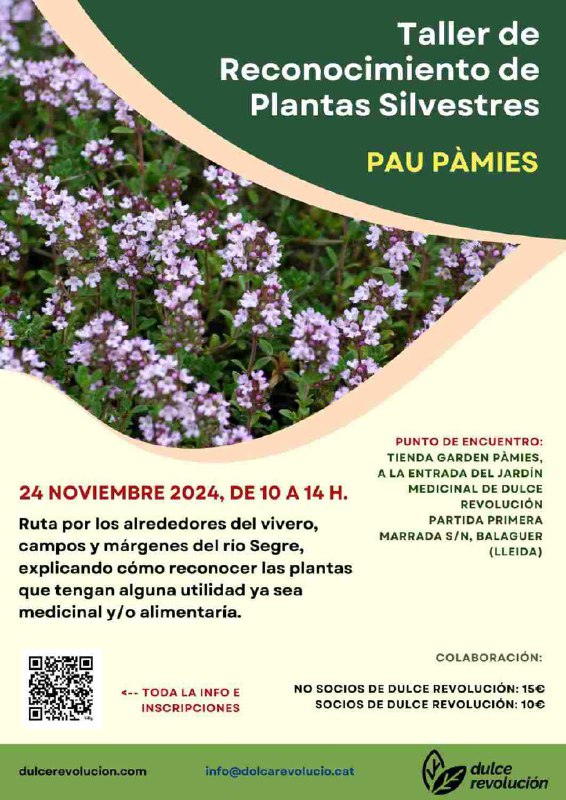 ***🌱*** **Domingo 24 de Noviembre a …