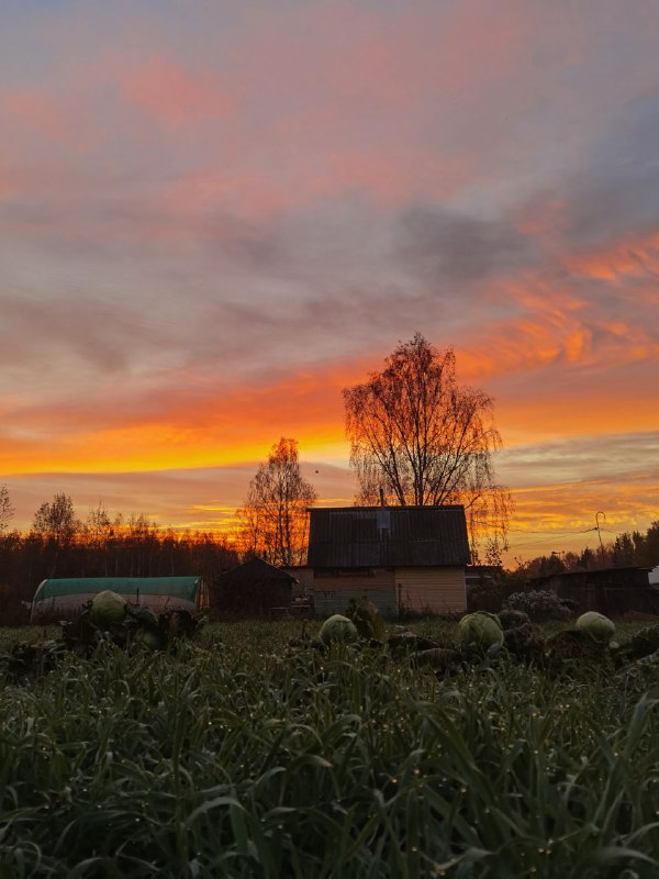 Душевно о деревне