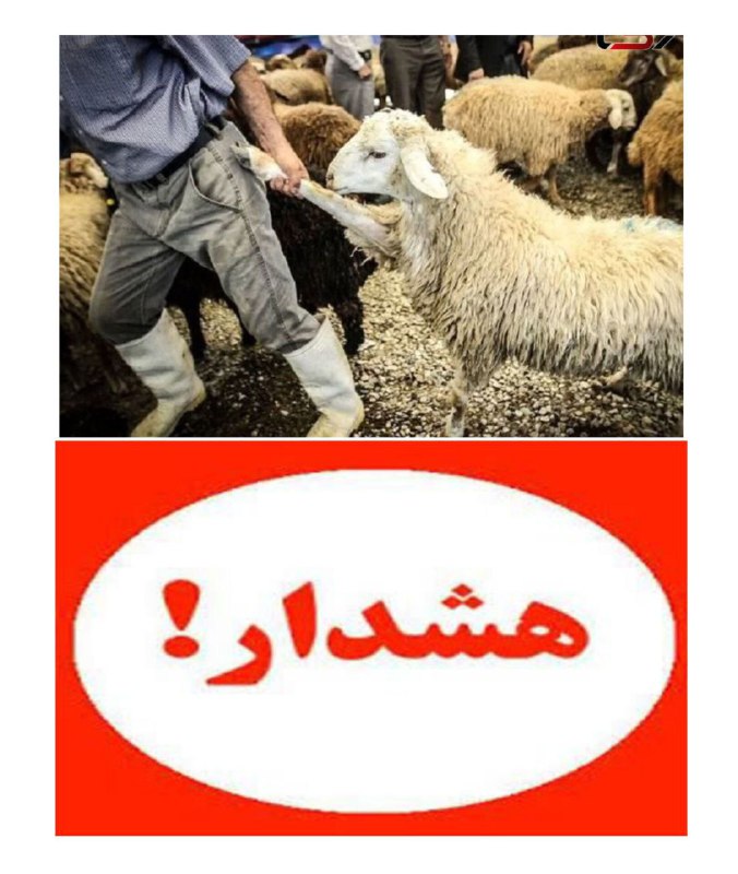 [‍](http://axnegar.fahares.com/axnegar/76b908c21531e3e420669ac6cf347676AgACAgQAAxkBCMDgdWc-qteujuys3mc8J-d4bU-krVx8AAKgxzEbtFvxUefXZHHhcEUpAQADAgADeQADNgQ.jpg) ***?***از ردیاب و یا Gps …
