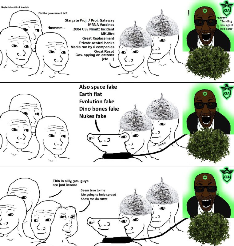 dvbism